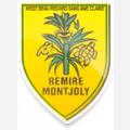 MAIRIE DE REMIRE-MONTJOLY